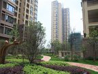 南山金城1958社区实景