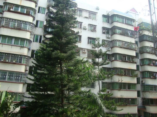 南沙路大型成熟社区 昌茂花园三房 南北通透可以按揭