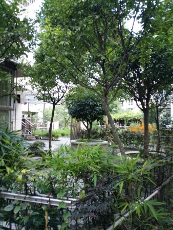 都江堰旅游胜地!花蕊故里古青城 世外桃源 都江