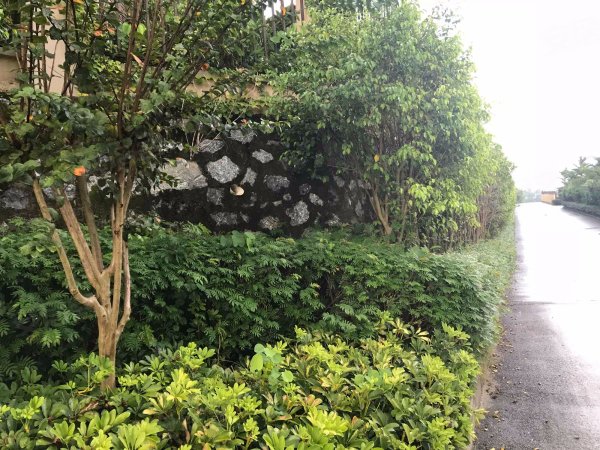 兴宁区嘉和城白鹭郡北城,白鹭郡前湖15万交房