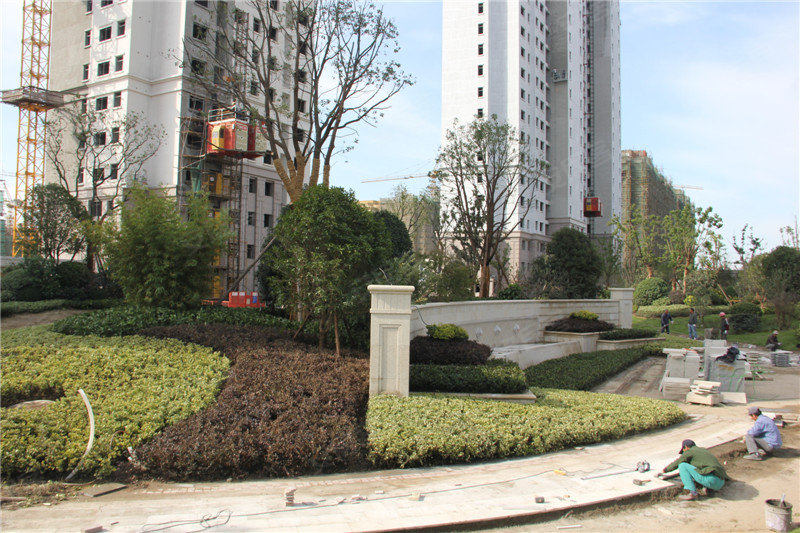 扬州华鼎星城-实景图(42) - 扬州58安居客