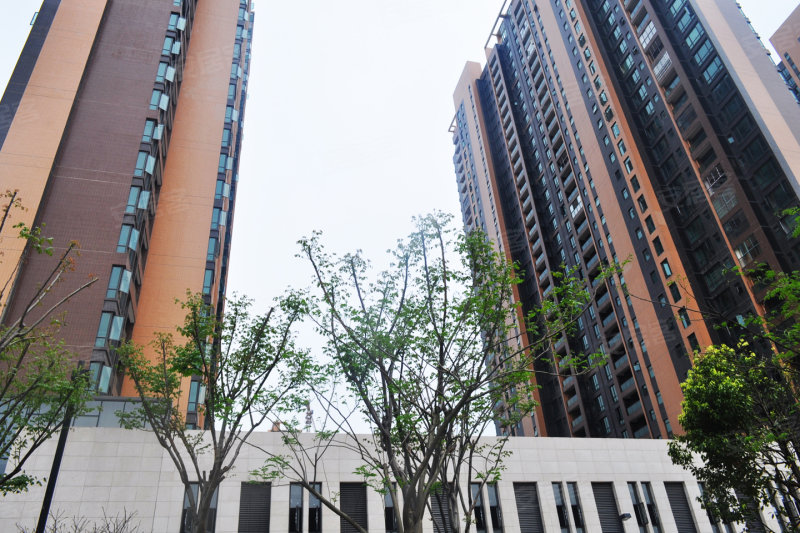长沙海伦春天-实景图(10) - 长沙58安居客