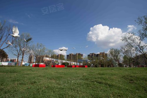 莫斯科人均绿地面积_上海人均绿地(3)